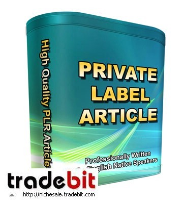 Product picture *NEW!* PLR Home Security Articles