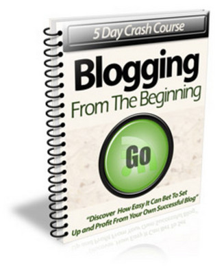 Product picture *NEW* Blogging From The Beginning With PLR