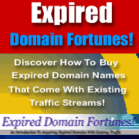 Product picture Expired Domain Fortunes