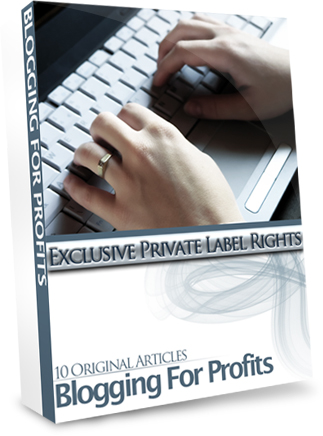 Product picture Blogging for Profits