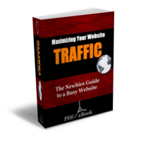 Product picture Maximizing Your Website TRAFFIC  - PLR eBook